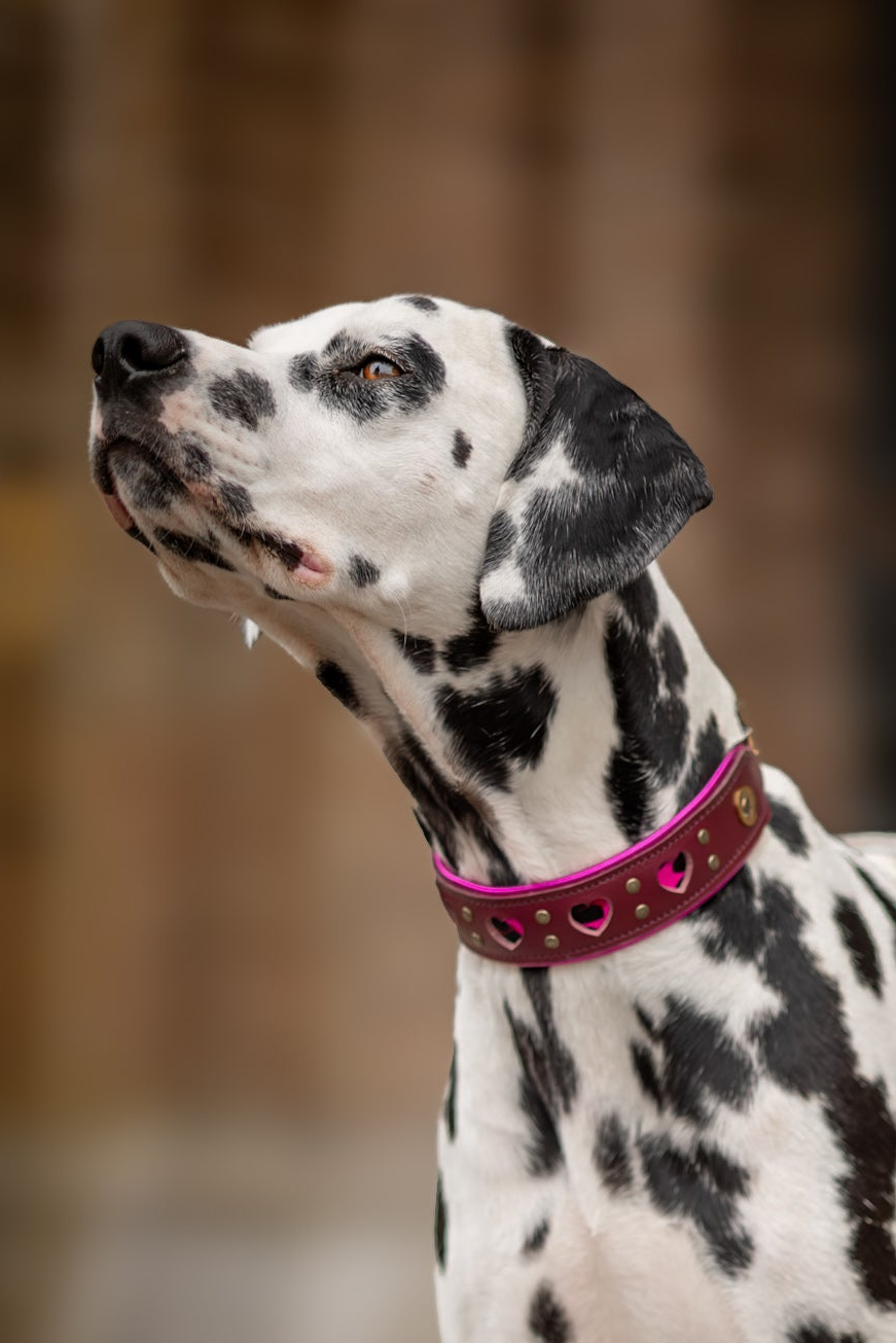 Halsband - My Valentine Burgundy Pink