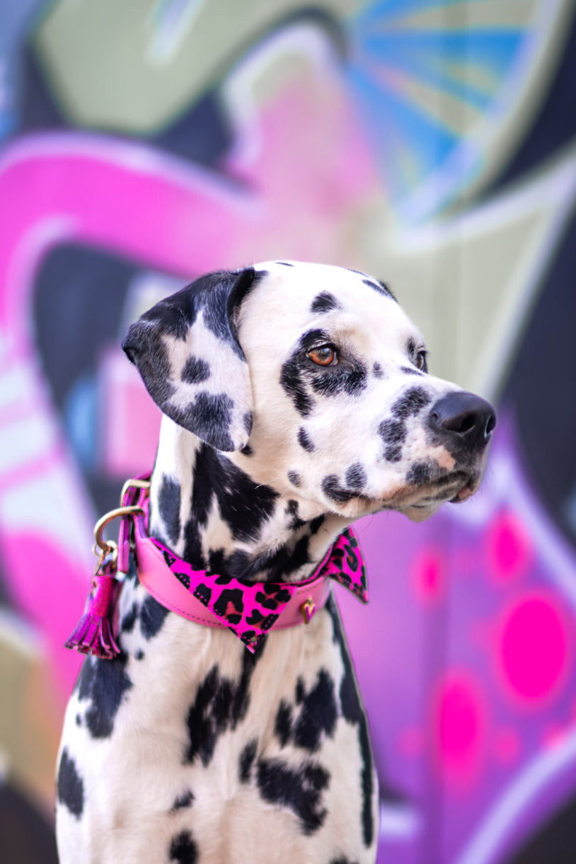 Halsband - Pink Panther Tie