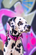 Halsband - Pink Panther Tie