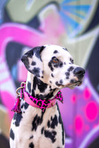 Halsband - Pink Panther Tie