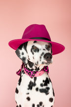 Halsband - Pink Panther Tie