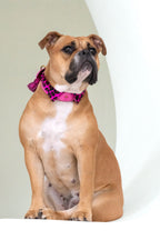 Halsband - Pink Panther Tie