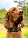 Halsband - My Valentine Leopard Green