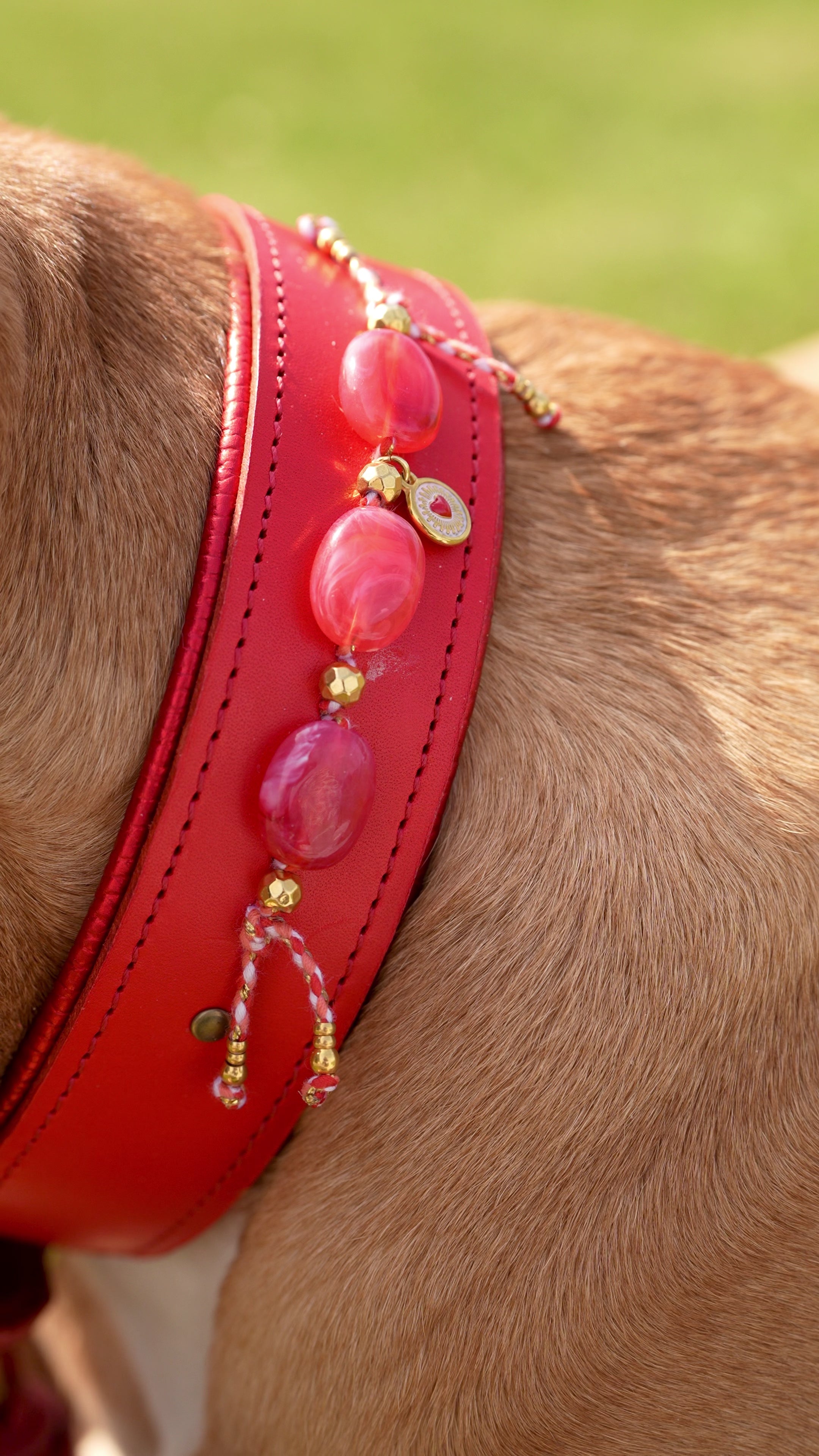 Halsband - Daydream Red